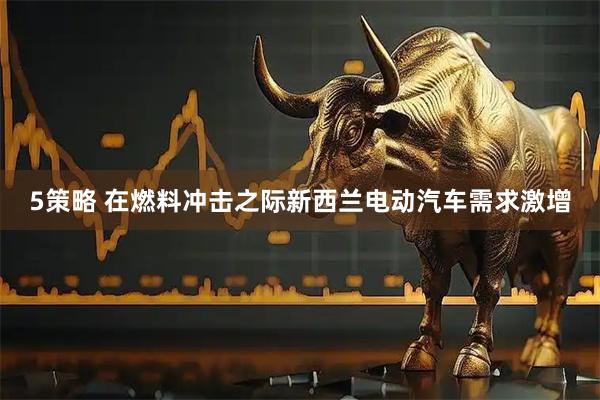 5策略 在燃料冲击之际新西兰电动汽车需求激增